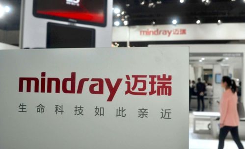 電子產品銷售龍頭獲青睞，下半年北上資金增持前15強出爐，兩股獲增持超百億
